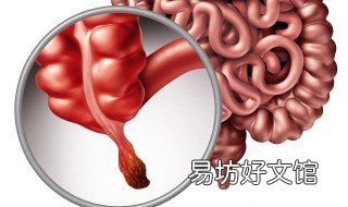 半月形阑尾开口什么意思 新月形阑尾开口