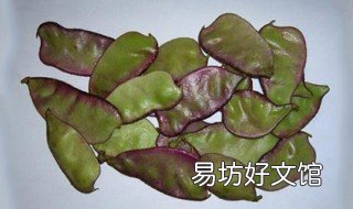 梅豆的营养价值和功效 梅豆的营养价值和功效禁忌