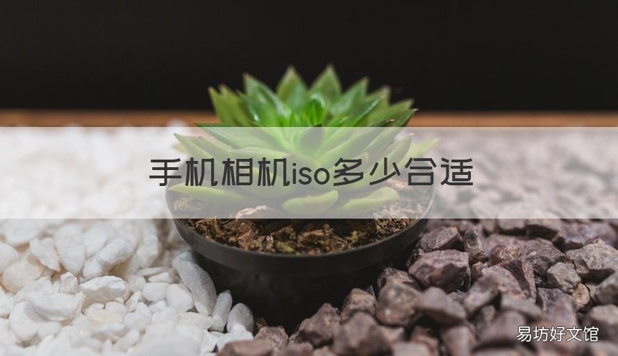 手机相机iso多少合适 手机相机iso多少合适拍视频