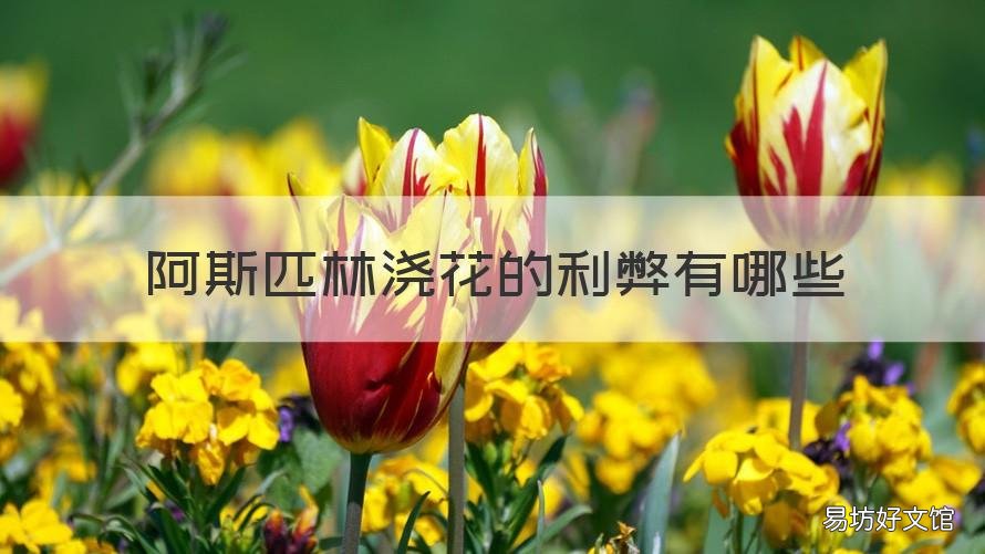阿斯匹林浇花的利弊有哪些 阿斯匹林水浇花