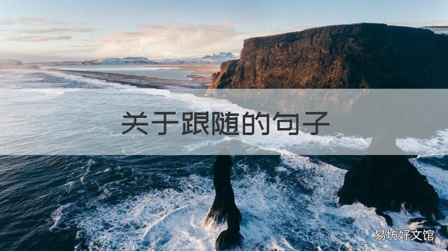 关于跟随的句子 跟随可以造什么句子