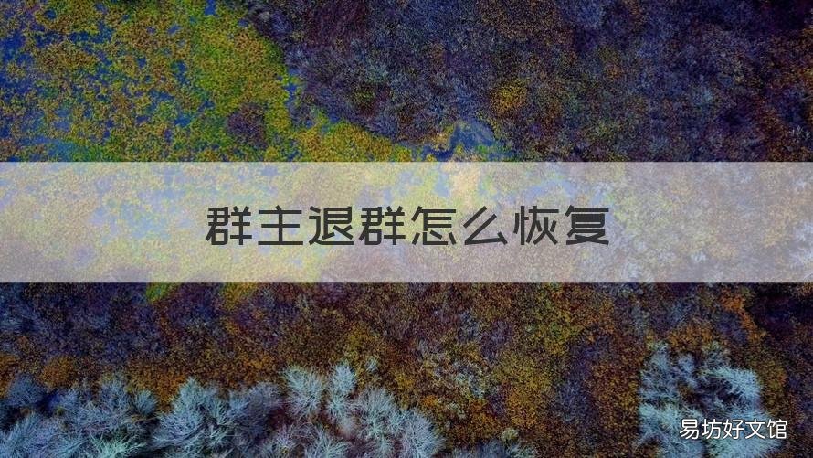 群主退群怎么恢复 群主不小心退群了怎样恢复群主