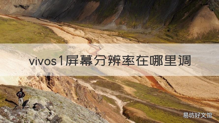 vivos1屏幕分辨率在哪里调 vivos1手机分辨率在哪里