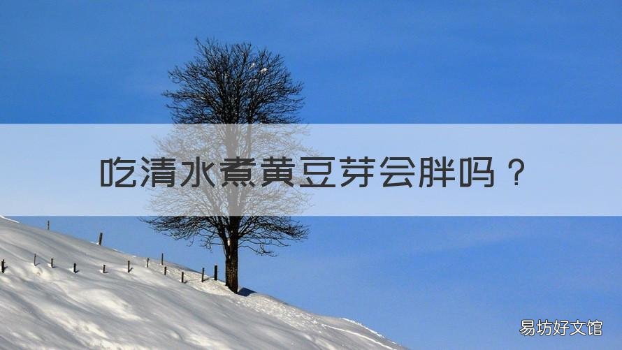 吃清水煮黄豆芽会胖吗 吃水煮黄豆芽能减肥吗