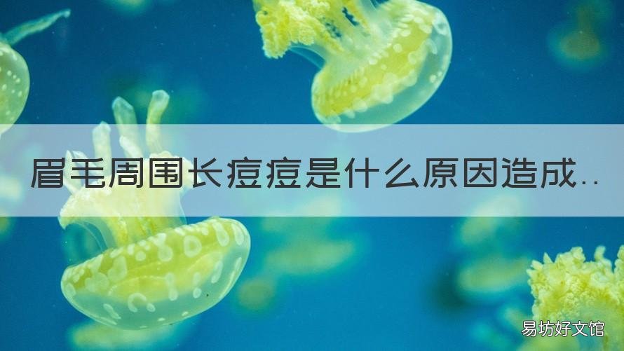 眉毛周围长痘痘是什么原因造成 眉毛周围长痘是为啥