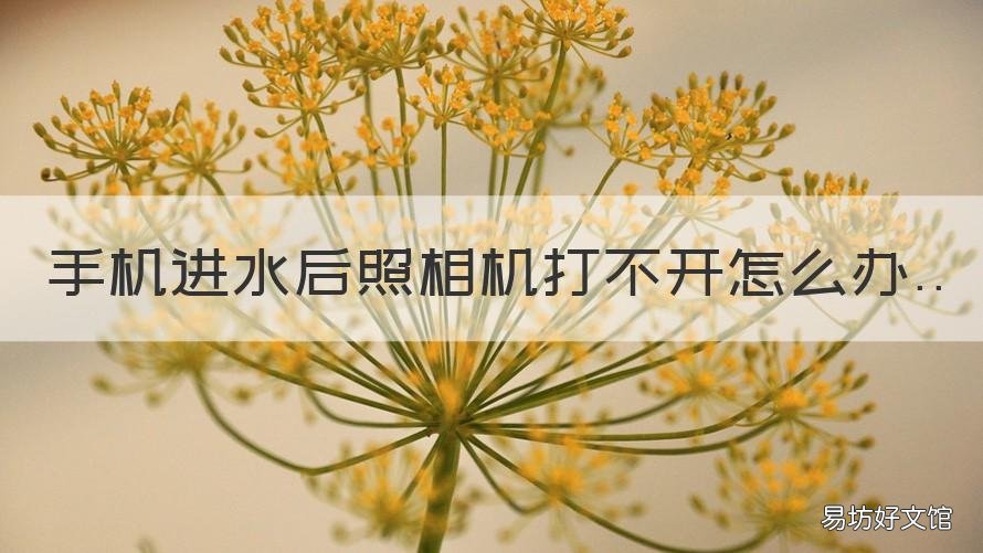 手机进水后照相机打不开怎么办 手机进水后照相功能无法使用