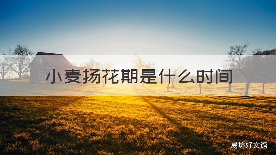 小麦扬花期是什么时间 小麦啥时候扬花