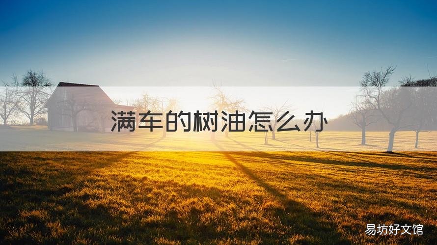 满车的树油怎么办 车 树油怎么办