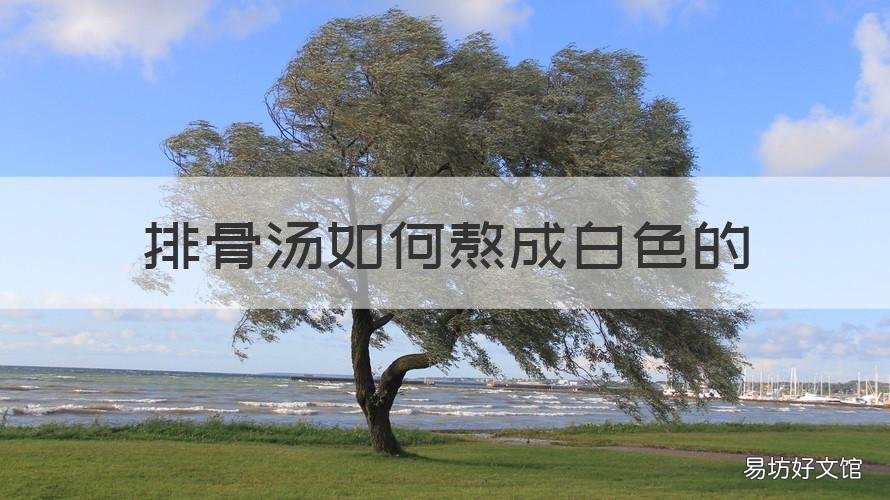 排骨汤如何熬成白色的 排骨汤如何熬成白色的呢
