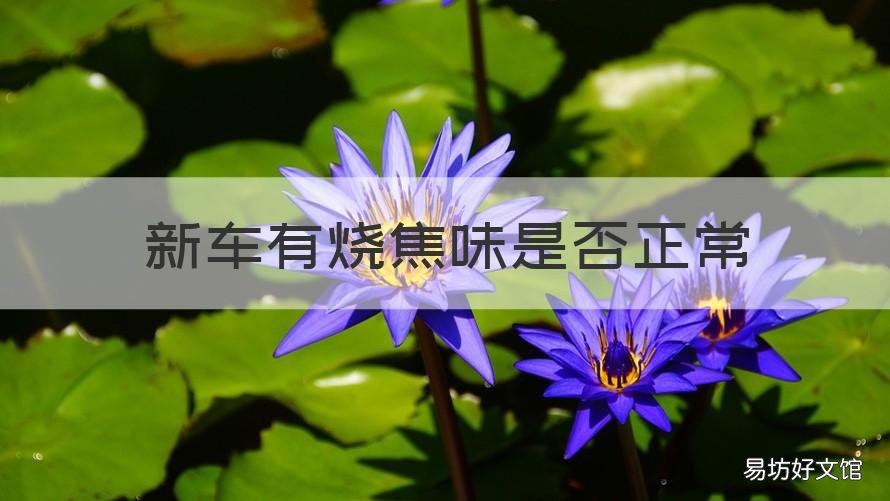 新车有烧焦味是否正常 新车有烧焦味正常吗