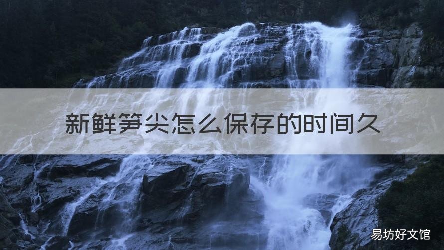 新鲜笋尖怎么保存的时间久 笋尖怎么保存长久