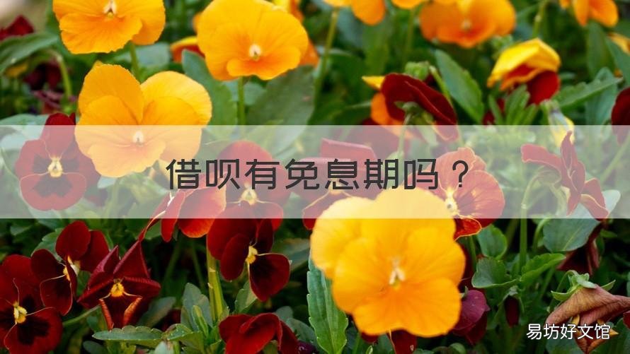 借呗有免息期吗 借呗借钱有免息期吗