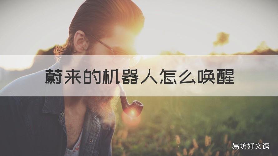 蔚来的机器人怎么唤醒 怎么唤醒蔚来es8机器人