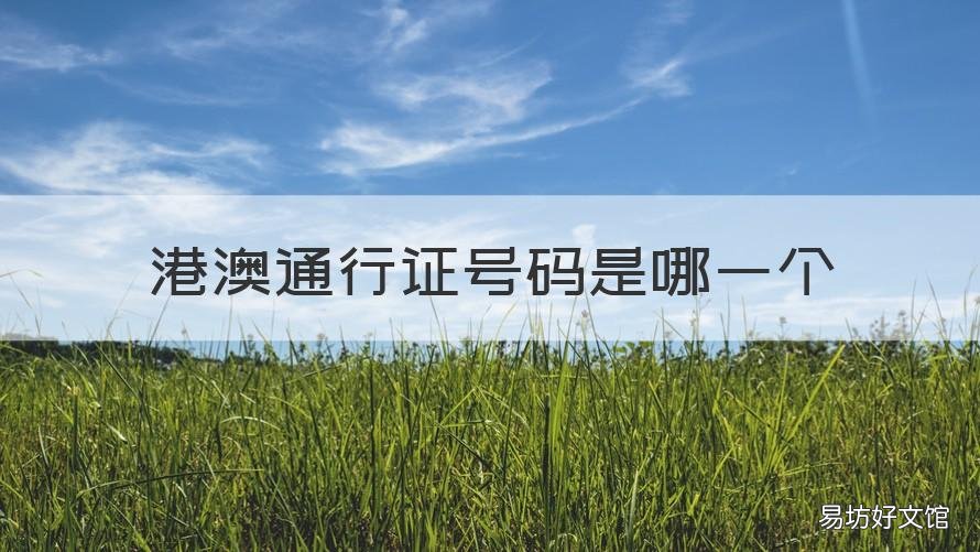 港澳通行证号码是哪一个