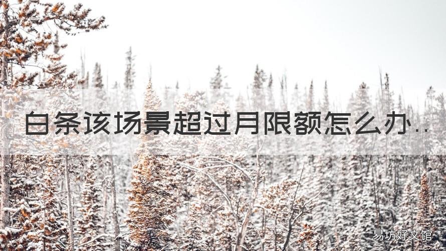 白条该场景超过月限额怎么办 白条当月额度超限