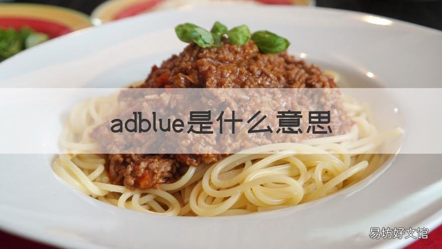 adblue是什么意思 adblue是什么意思英语