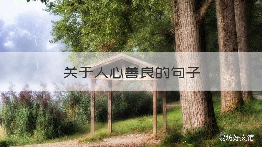 关于人心善良的句子 关于人心善良的句子简短