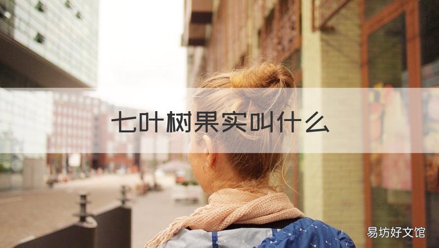 七叶树果实叫什么 七叶树果实什么颜色