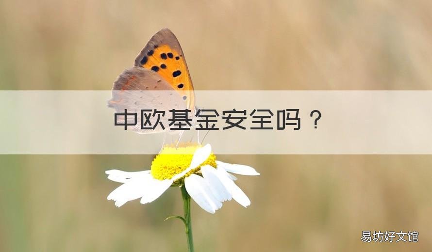 中欧基金安全吗 中欧基金现在好不好