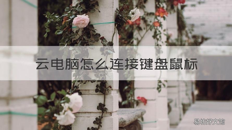 云电脑怎么连接键盘鼠标 云电脑连接键盘鼠标都没反应