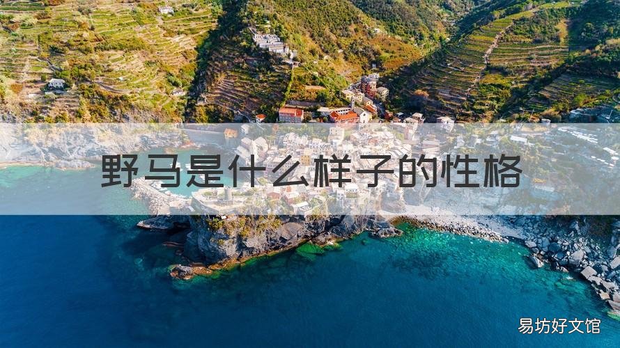 野马是什么样子的性格 野马的性格特点