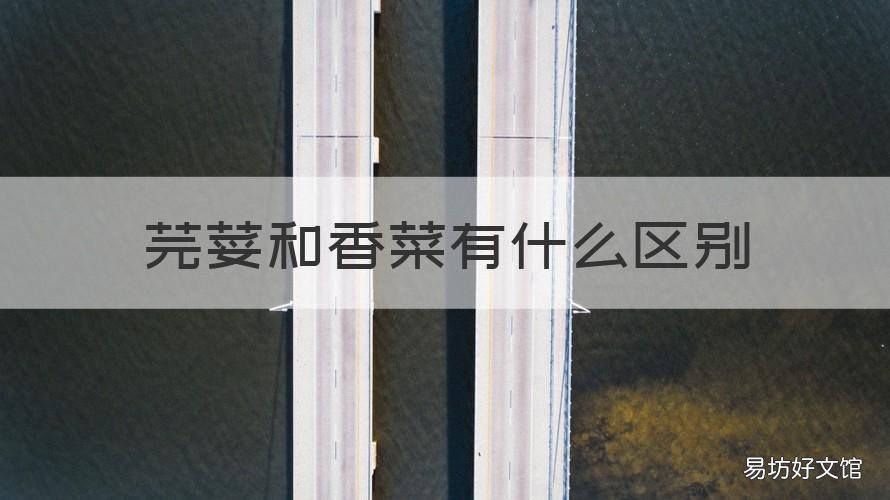 芫荽和香菜有什么区别 芫荽还是香菜