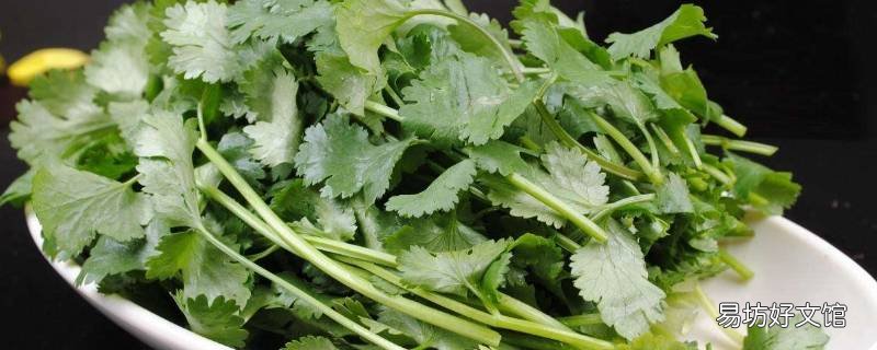 芫荽和香菜有什么区别 芫荽还是香菜