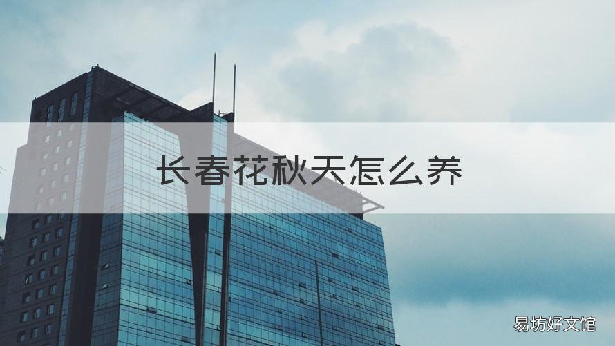 长春花秋天怎么养 长春花春天怎么养