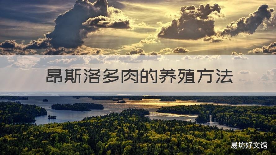 昂斯洛多肉的养殖方法 昂斯洛多肉耐寒吗