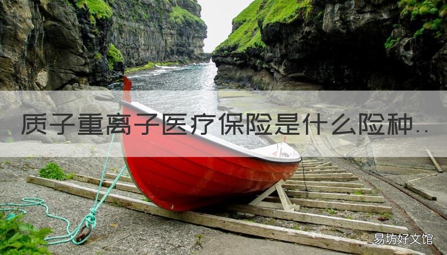 质子重离子医疗保险是什么险种 质子重离子医疗保险金什么意思