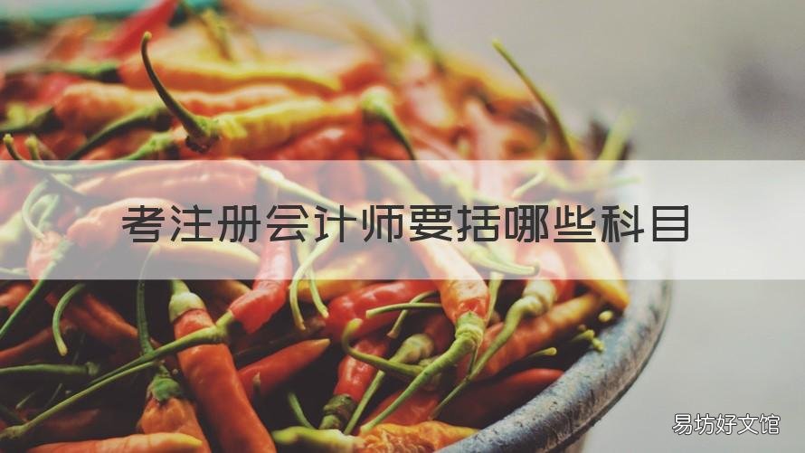 考注册会计师要括哪些科目 注册会计师需要考什么科目
