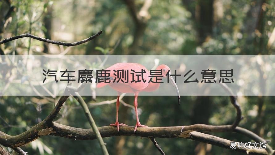 汽车麋鹿测试是什么意思 汽车 麋鹿测试