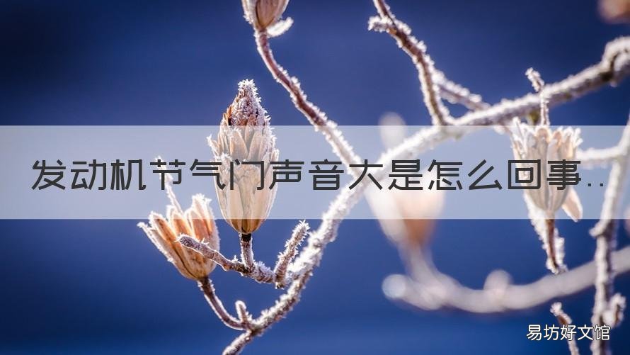 发动机节气门声音大是怎么回事 清洗节气门发动机声音变大怎么办