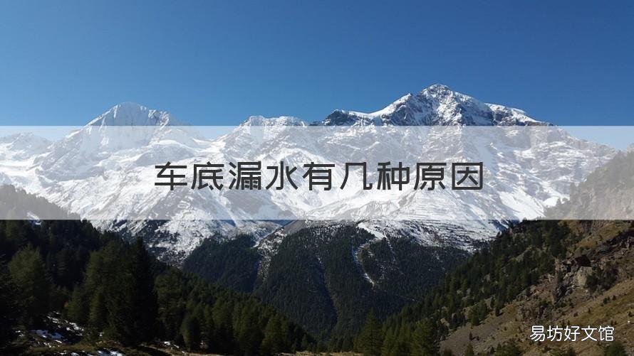车底漏水有几种原因 车底下漏水什么原因