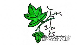 爬山虎怎么画 爬山虎怎么画四年级