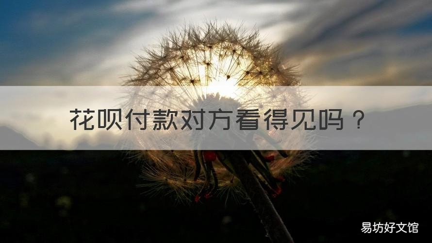 花呗付款对方看得见吗 用花呗付款对方能看到吗