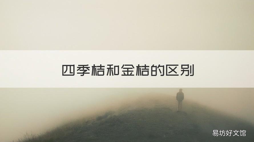 四季桔和金桔的区别 四季桔和金桔的区别是什么