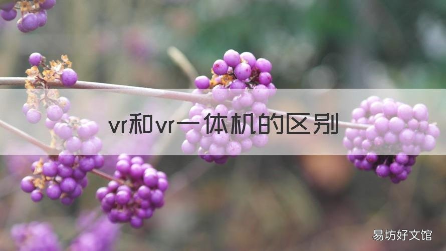 vr和vr一体机的区别 vr一体机的特点