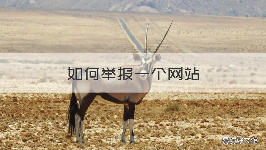 如何举报一个网站 想举报网站怎么举报