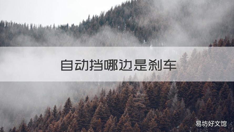 自动挡哪边是刹车 自动挡哪边是刹车哪边是油门