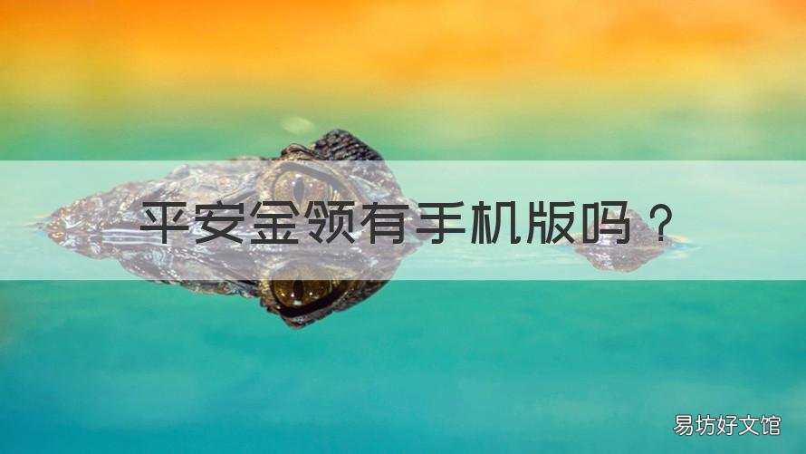 平安金领有手机版吗 平安金领有手机版吗怎么退