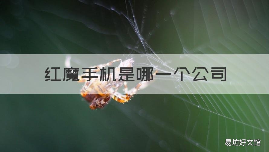 红魔手机是哪一个公司 红魔手机是谁家的