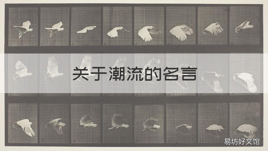 关于潮流的名言 关于顺应潮流的名言