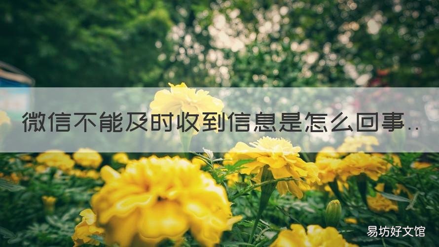 微信不能及时收到信息是怎么回事 为什么微信不能及时收到信息?