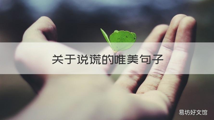 关于说谎的唯美句子 关于说谎的经典名句