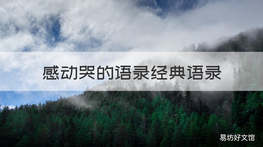 感动哭的语录经典语录 让人泪崩的语录