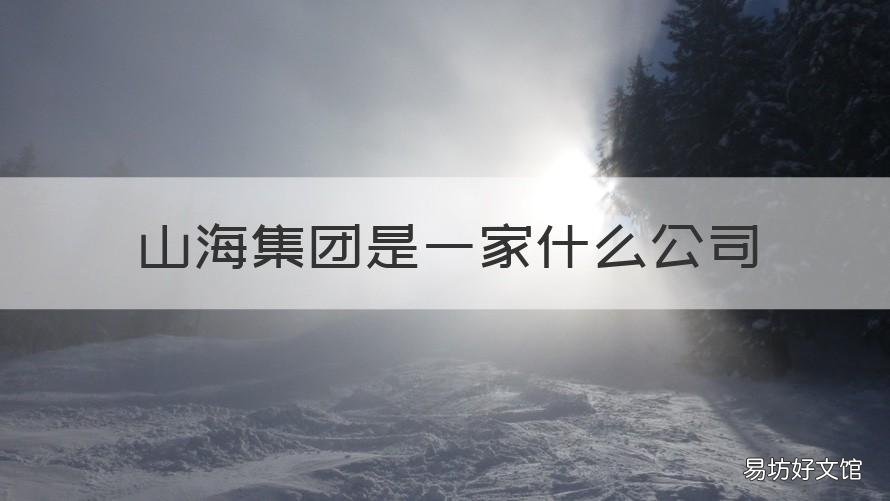 山海集团是一家什么公司 山海实业有限公司 概况