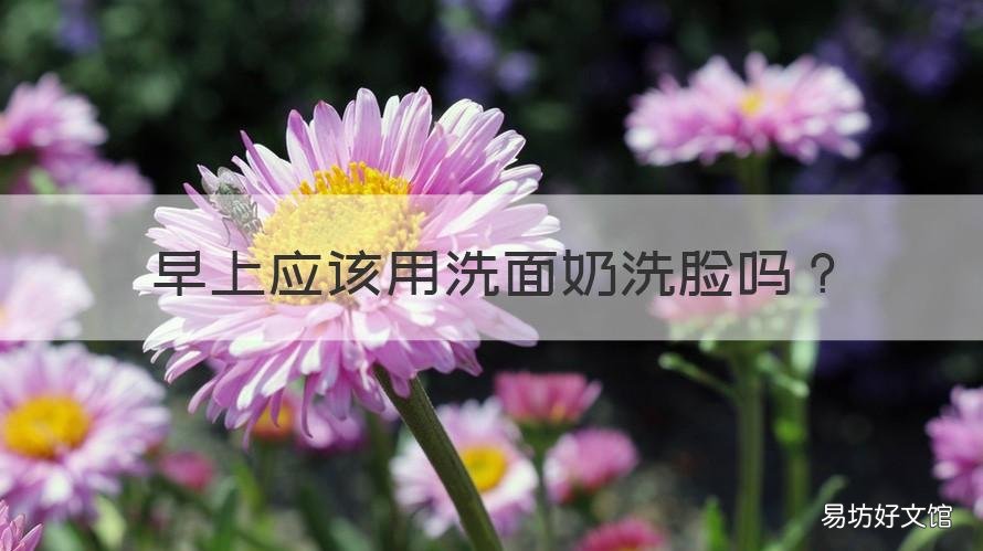 早上应该用洗面奶洗脸吗 早晨应该用洗面奶洗脸吗