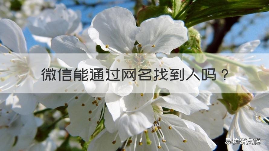 微信能通过网名找到人吗 微信能通过网名找到人吗知乎