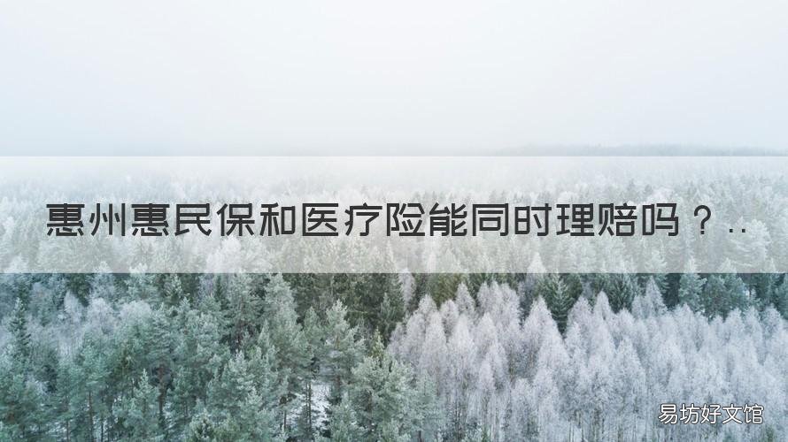 惠州惠民保和医疗险能同时理赔吗